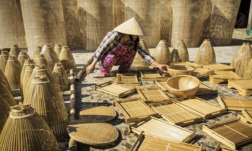 Chế biến và xuất khẩu - “chìa khóa” tăng giá trị cây trồng chủ lực tại Thanh Hóa