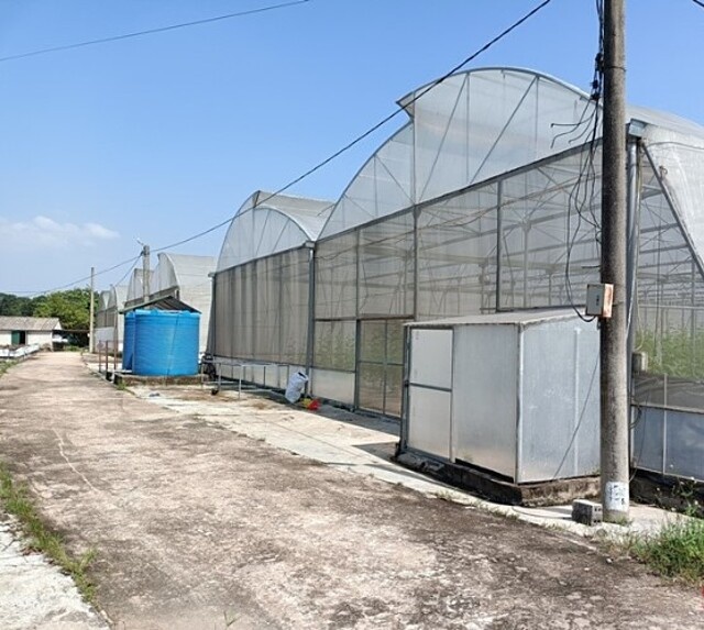 -2730-1748941406.jpg