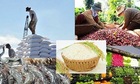 Xuất khẩu nông, lâm, thủy sản 5 tháng đầu năm tăng 15,1%, châu Á là thị trường lớn nhất
