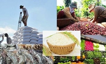 Xuất khẩu nông, lâm, thủy sản 5 tháng đầu năm tăng 15,1%, châu Á là thị trường lớn nhất