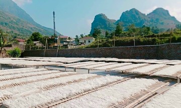 Sợi miến kể chuyện giảm nghèo ở Bát Xát
