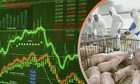 ‘Sóng’ cổ nhà cái 789bet chăn nuôi