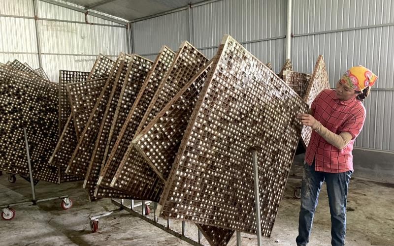 HTX “dẫn đường” cho nông dân An Lão giữ nghề, làm kinh tế