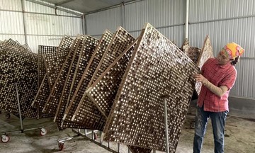 HTX “dẫn đường” cho nông dân An Lão giữ nghề, làm kinh tế