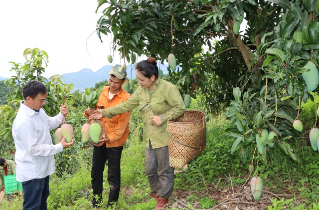 Xuất khẩu rau quả vượt khó để hoàn thành mục tiêu