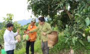 Xuất khẩu rau quả vượt khó để hoàn thành mục tiêu