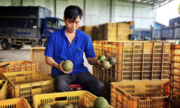 Nông dân Trà Ôn thoát nghèo nhờ 789bet