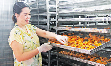 Ứng dụng công nghệ là &quot;chìa khóa vàng&quot; cho HTX bứt phá