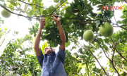 Kế Thành ‘thay da đổi thịt’ từng ngày