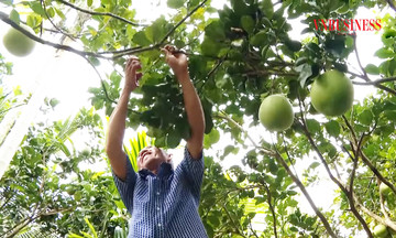 Kế Thành ‘thay da đổi thịt’ từng ngày