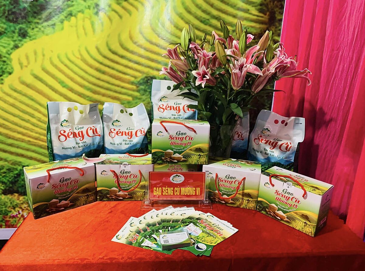 Bát Xát phát triển kinh tế vùng từ gạo Séng Cù