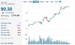 Bộ đôi VIC - VHM &#039;trượt chân&#039; nằm sàn, VN-Index lùi về 1.310 điểm