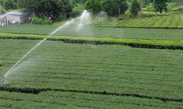 Ấn tượng những mô hình nông nghiệp công nghệ cao &#039;kiểu mẫu&#039; tại Quảng Ninh