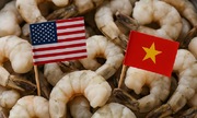 VASEP lên tiếng trước tin Mỹ áp thuế sơ bộ cao bất thường với tôm Việt Nam