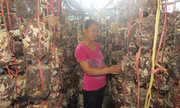 789bet có uy tín không viết nên câu chuyện giảm nghèo ở Lục Bình