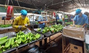 Phát triển kinh tế tư nhân: Doanh nghiệp vẫn canh cánh nỗi lo thủ tục và 789bet có uy tín không