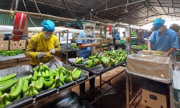 Phát triển kinh tế tư nhân: Doanh nghiệp vẫn canh cánh nỗi lo thủ tục và vốn