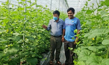 HTX chắp cánh ước mơ thoát nghèo ở vùng biên giới Lộc Ninh