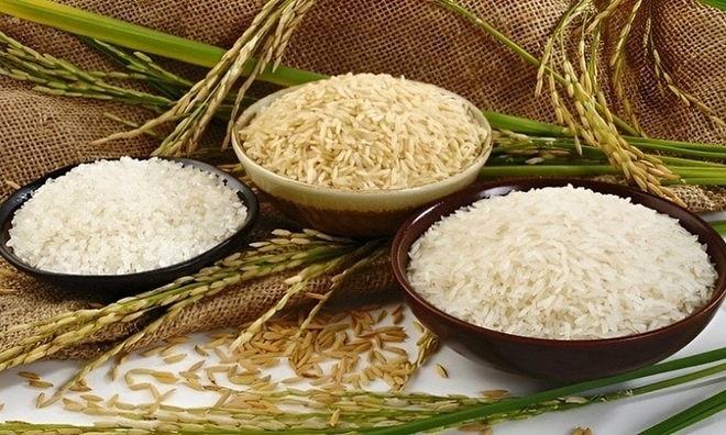 Gạo Japonica &#039;xanh&#039; của Việt Nam mở cánh cửa vào thị 789bet login khó tính Nhật Bản