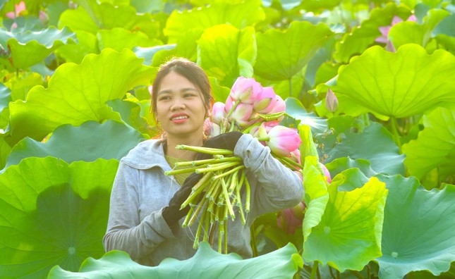 Sở hữu trí tuệ giúp nhà cái 789bet nâng tầm nông sản địa phương