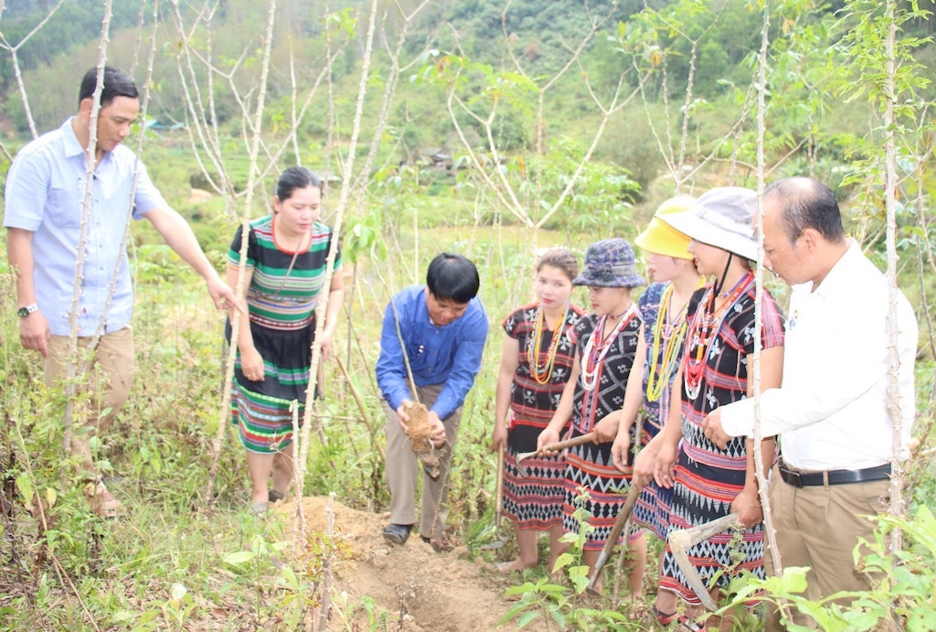 Đa dạng mô hình thoát nghèo cho người dân Tây Giang