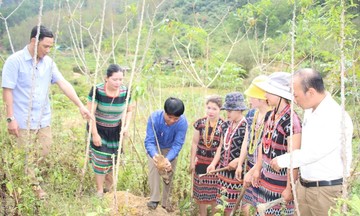 Đa dạng mô hình thoát nghèo cho người dân Tây Giang