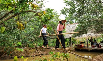 Du lịch nông nghiệp thúc đẩy giảm nghèo ở vùng đất “xứ cồn”