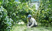 Khơi dậy khát vọng thoát nghèo, vươn lên làm giàu của đồng bào vùng cao Mường Ảng