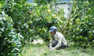 Khơi dậy khát vọng thoát nghèo, vươn lên làm giàu của đồng bào vùng cao Mường Ảng