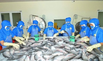 &#039;Vị ngọt&#039; từ sản vật địa phương trên vùng đất Phụng Hiệp