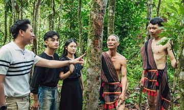 Mở khóa ‘kho báu xanh’ dược liệu cho người dân Nam Trà My vươn lên xóa nghèo