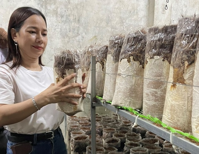 Trao sinh kế từ đào tạo nghề giúp Tri Tôn giảm nghèo bền vững