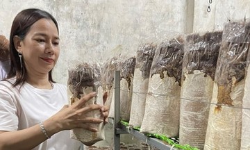 Trao sinh kế từ đào tạo nghề giúp Tri Tôn giảm nghèo bền vững