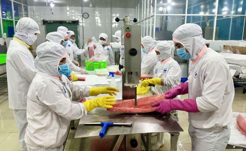 HTX góp phần nâng tầm sản phẩm OCOP Phú Yên, giảm nhanh tỷ lệ hộ nghèo