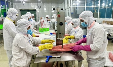 HTX góp phần nâng tầm sản phẩm OCOP Phú Yên, giảm nhanh tỷ lệ hộ nghèo