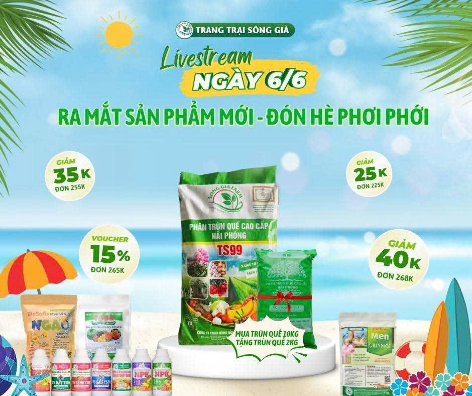 Chuyển đổi số: Cơ hội vàng để HTX Hải Phòng bứt phá