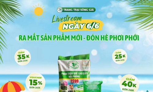 Chuyển đổi số: Cơ hội vàng để HTX Hải Phòng bứt phá