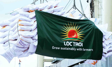 Lộc Trời đang trải qua giai đoạn lao dốc nghiêm trọng