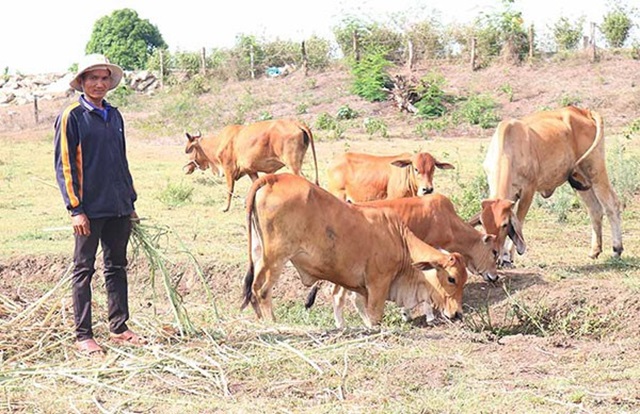 Tín dụng chính sách: Khơi dậy ý chí thoát nghèo ở Kông Chro