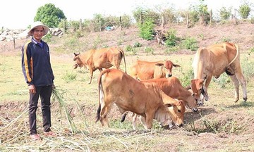 Tín dụng chính sách: Khơi dậy ý chí thoát nghèo ở Kông Chro