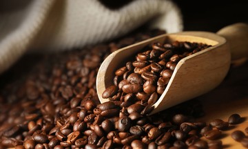 Giá cà phê trong nước giữ ổn định ở mức 112.500 đồng/kg