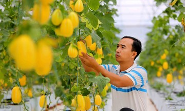 Người làm báo hợp tác xã, những chiến sĩ tiên phong