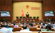 Xăng dầu, than... được giảm 2% 789bet link mớiế VAT tới hết 2026