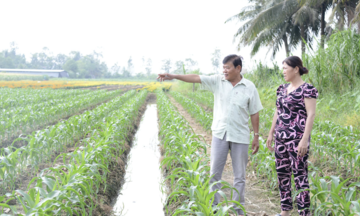 Gò Công Đông thu hút nông dân tham gia phát triển kinh tế tập thể để giảm nghèo bền vững