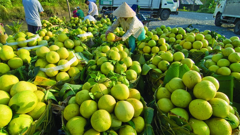 Chuyển đổi lên doanh nghiệp: Đòn bẩy cho hộ kinh doanh nông sản, thực phẩm phát triển bền vững