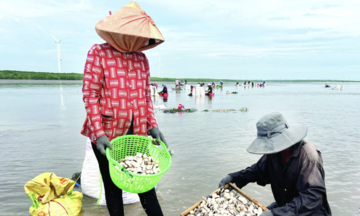 Khai thác đặc sản địa phương, nhiều HTX ở Bến Tre mang lại nguồn thu ổn định cho thành viên