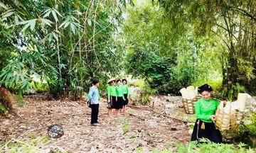 Người dân Lục Yên thoát nghèo nhờ được tạo sinh kế