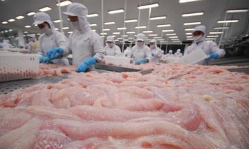 Nhiều doanh nghiệp xuất khẩu cá tra tại thị trường Mỹ nhận tin vui về thuế chống bán phá giá