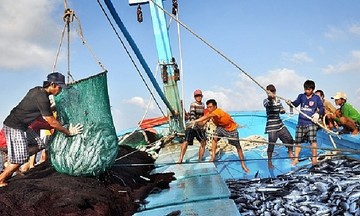 Tăng cường giải pháp chống khai thác IUU, kiên quyết xử lý tàu cá '3 không'