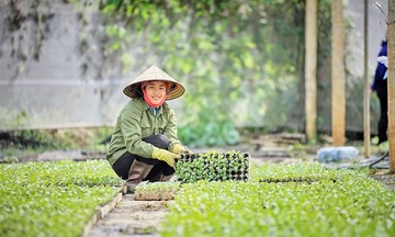 Nông 789bet uy tín sạch &#039;loay hoay&#039; trước vấn nạn hàng giả: Cần &#039;vá&#039; lỗ hổng pháp lý